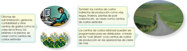 contabilidad costos