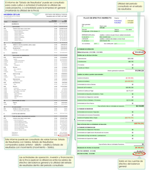 Clic aquí para ampliar estado de resultados