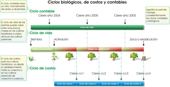ciclo de costos