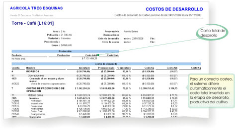 costos de produccion cultivos perennes