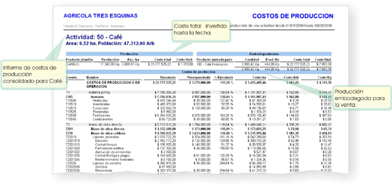 costos produccion por actividad