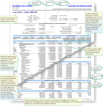 informe costos de produccion