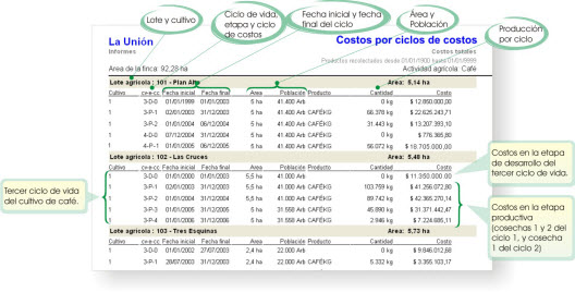 informe de costos por ciclo contable