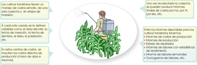 Clic aquí para ampliar software agricola
