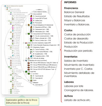 Clic aquí para ampliar finca