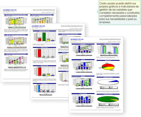 indicadores de gestion