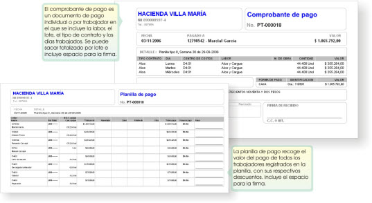 comprobante de pago y planilla de pago