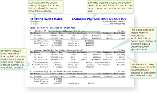 informe de labores