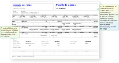 planilla de labores