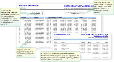 informes produccion