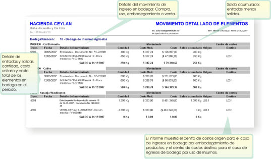 informe de inventario