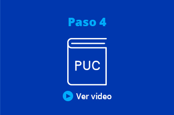 Paso 4