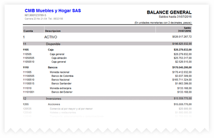Balance general generado en el programa contable ContaPyme