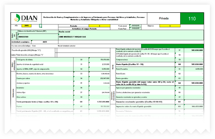 Declaración de renta generado en el programa contable ContaPyme