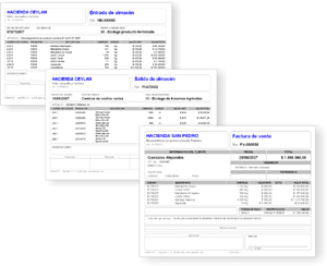 Clic aquí para ampliar comprobante de pago