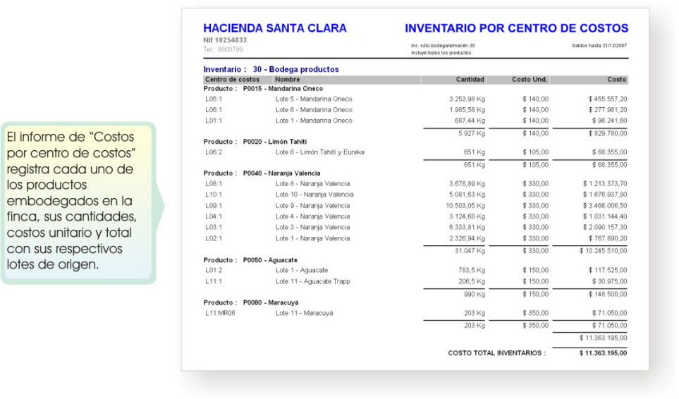 formato de informe de inventario